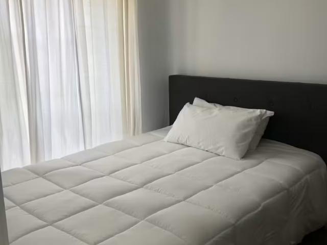 Alquiler 1 Dormitorio Shared Living/Roommate Alicante Alicante DS100357637