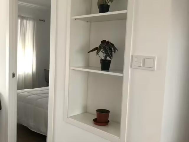 Alquiler 1 Dormitorio Shared Living/Roommate Alicante Alicante DS100357702