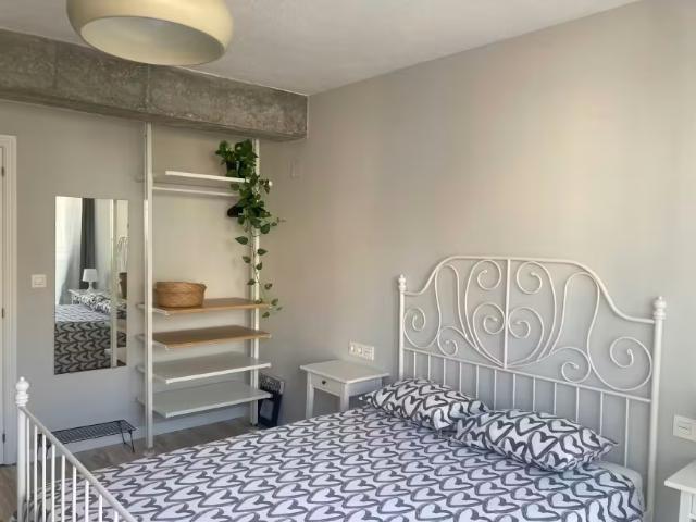 Alquiler 1 Dormitorio Shared Living/Roommate Alicante Alicante DS100357875