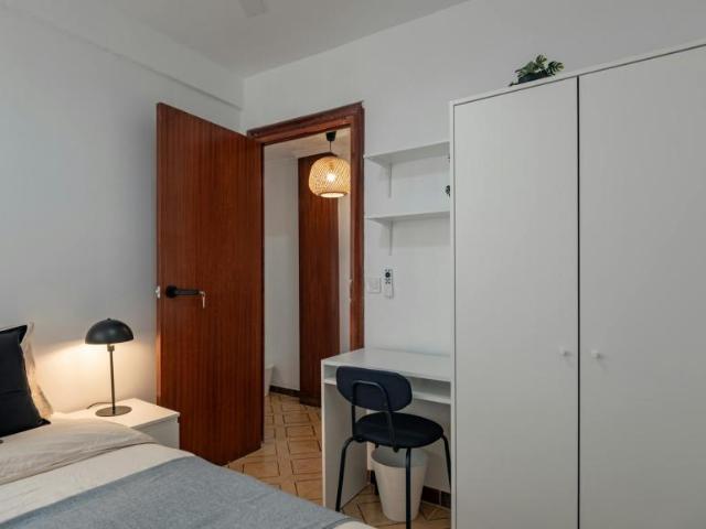 Alquiler 1 Dormitorio Shared Living/Roommate Alicante Alicante DS100414636