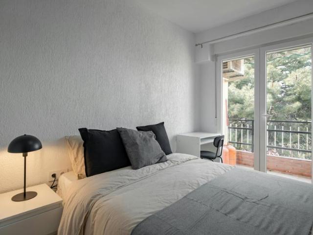 Alquiler 1 Dormitorio Shared Living/Roommate Alicante Alicante DS100414661