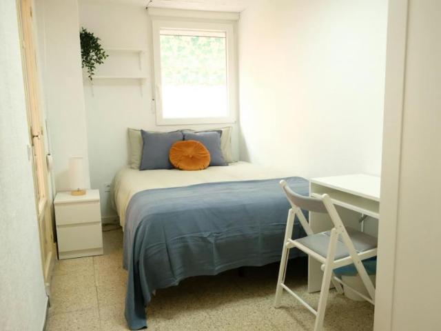 Alquiler 1 Dormitorio Shared Living/Roommate Alicante Alicante DS100605735