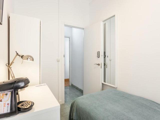 Alquiler 1 Dormitorio Shared Living/Roommate Alicante Alicante DS100714926