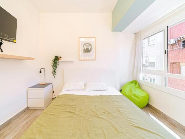 Alquiler 1 Dormitorio Shared Living/Roommate Alicante Alicante DS100716230