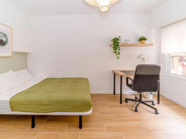 Alquiler 1 Dormitorio Shared Living/Roommate Alicante Alicante DS100716525