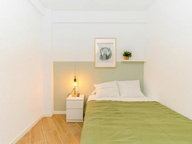 Alquiler 1 Dormitorio Shared Living/Roommate Alicante Alicante DS100716521