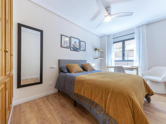 Alquiler 1 Dormitorio Shared Living/Roommate Alicante Alicante DS100717009