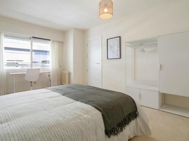 Alquiler 1 Dormitorio Shared Living/Roommate Alicante Alicante DS100718035