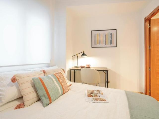 Alquiler 1 Dormitorio Shared Living/Roommate Alicante Alicante DS100718124