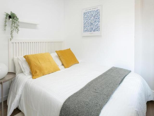 Alquiler 1 Dormitorio Shared Living/Roommate Alicante Alicante DS100718950