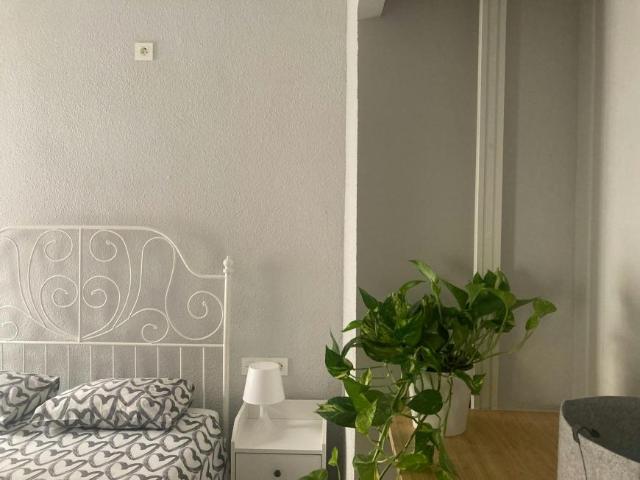 Alquiler 1 Dormitorio Shared Living/Roommate Alicante Alicante DS100728025