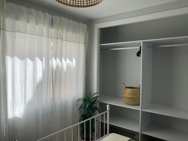 Alquiler 1 Dormitorio Shared Living/Roommate Alicante Alicante DS100728942