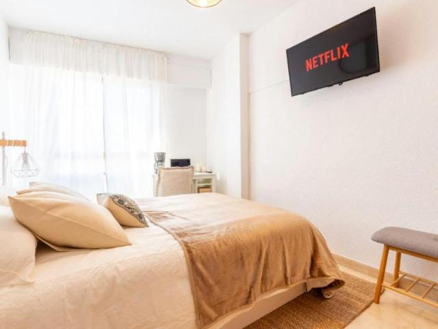 Alquiler 1 Dormitorio Shared Living/Roommate Alicante Alicante DS101844723