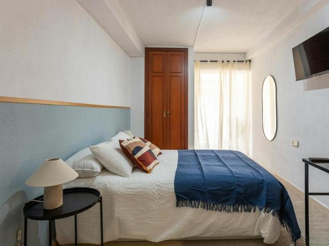 Alquiler 1 Dormitorio Shared Living/Roommate Alicante Alicante DS101844887