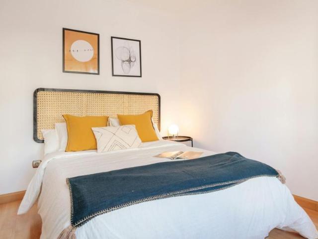 Alquiler 1 Dormitorio Shared Living/Roommate Alicante Alicante DS101843763