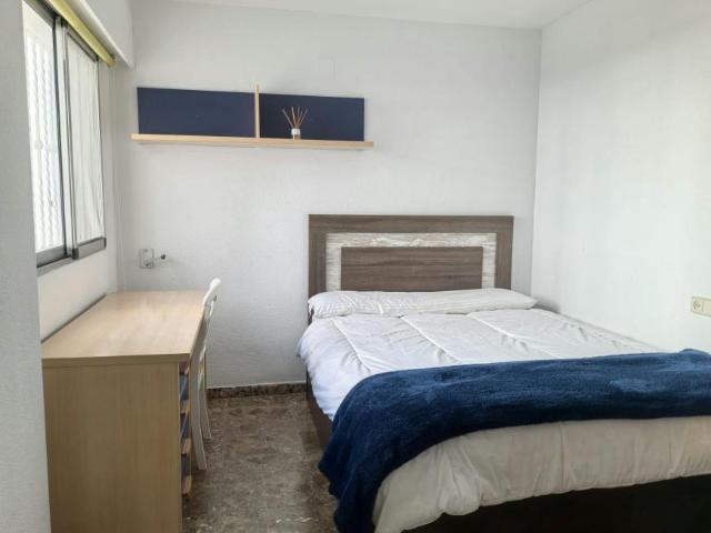 Alquiler 1 Dormitorio Shared Living/Roommate Alicante Alicante DS101843954