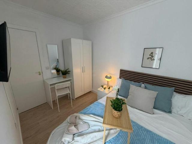 Alquiler 1 Dormitorio Shared Living/Roommate Alicante Alicante DS102145285