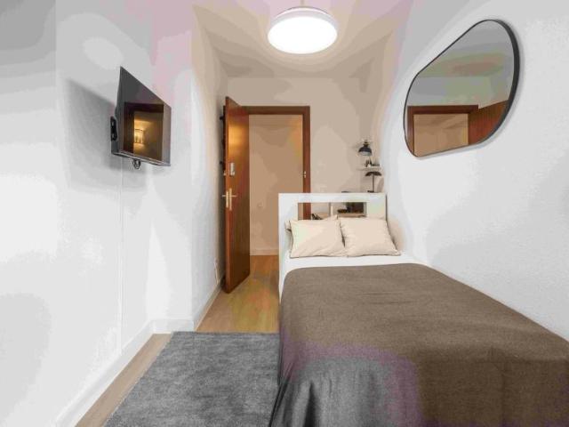 Alquiler 1 Dormitorio Shared Living/Roommate Alicante Alicante DS102145530
