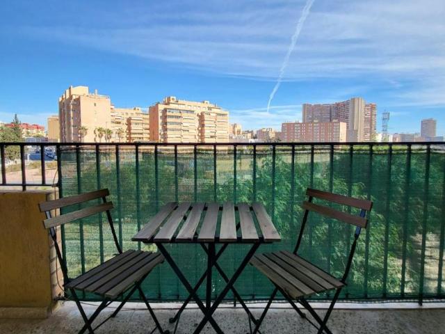 Alquiler 1 Dormitorio Shared Living/Roommate Alicante Alicante DS102308691