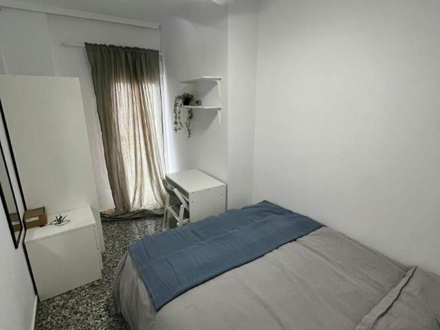Alquiler 1 Dormitorio Shared Living/Roommate Alicante Alicante DS102436438
