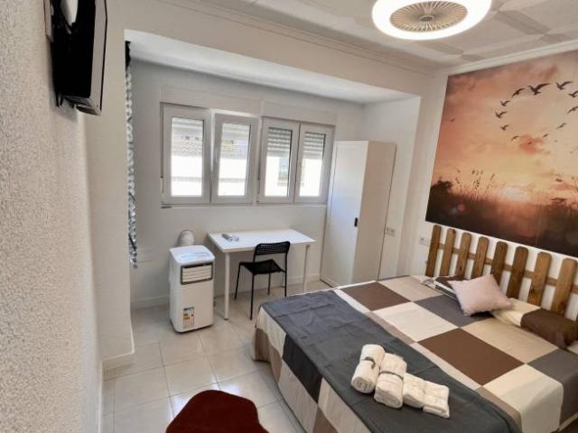Alquiler 1 Dormitorio Shared Living/Roommate Alicante Alicante DS102523202