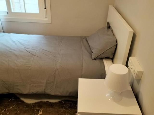 Alquiler 1 Dormitorio Shared Living/Roommate Alicante Alicante DS102662460