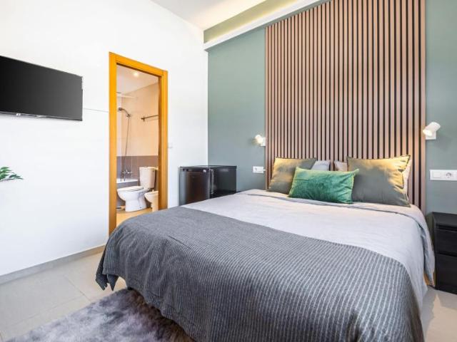 Alquiler 1 Dormitorio Shared Living/Roommate Alicante Alicante DS102813317