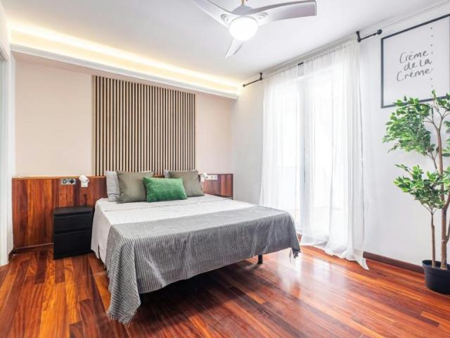 Alquiler 1 Dormitorio Shared Living/Roommate Alicante Alicante DS102813419