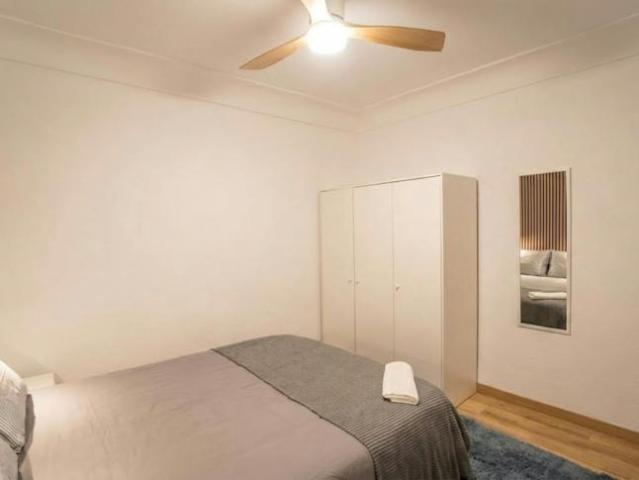 Alquiler 1 Dormitorio Shared Living/Roommate Alicante Alicante DS102813442