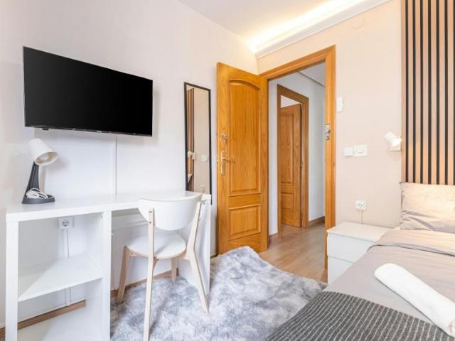 Alquiler 1 Dormitorio Shared Living/Roommate Alicante Alicante DS102813478