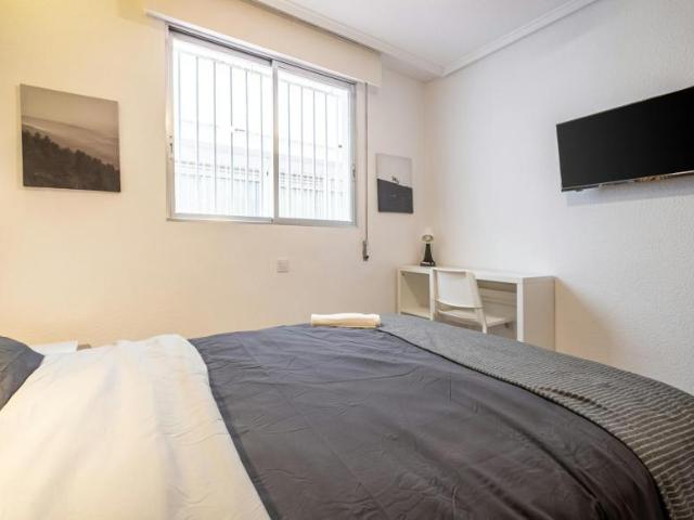Alquiler 1 Dormitorio Shared Living/Roommate Alicante Alicante DS102847747
