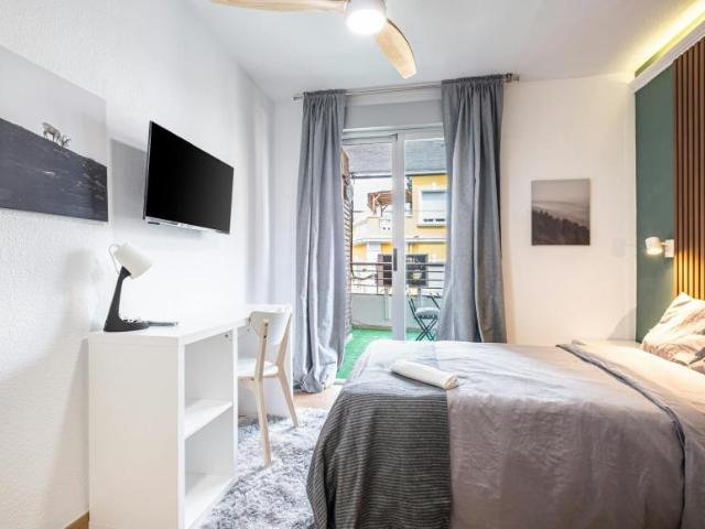 Alquiler 1 Dormitorio Shared Living/Roommate Alicante Alicante DS102847743