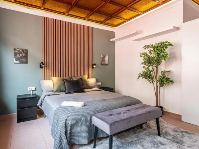 Alquiler 1 Dormitorio Shared Living/Roommate Alicante Alicante DS102847759