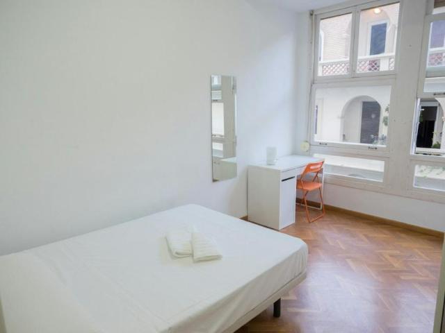 Alquiler 1 Dormitorio Shared Living/Roommate Alicante Alicante DS102849450