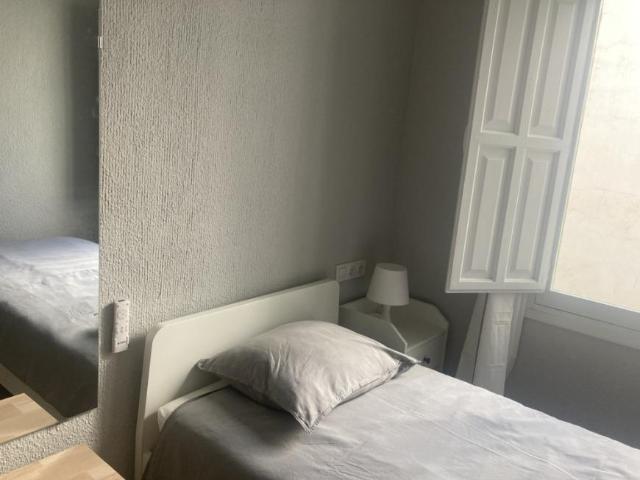 Alquiler 1 Dormitorio Shared Living/Roommate Alicante Alicante DS102849873