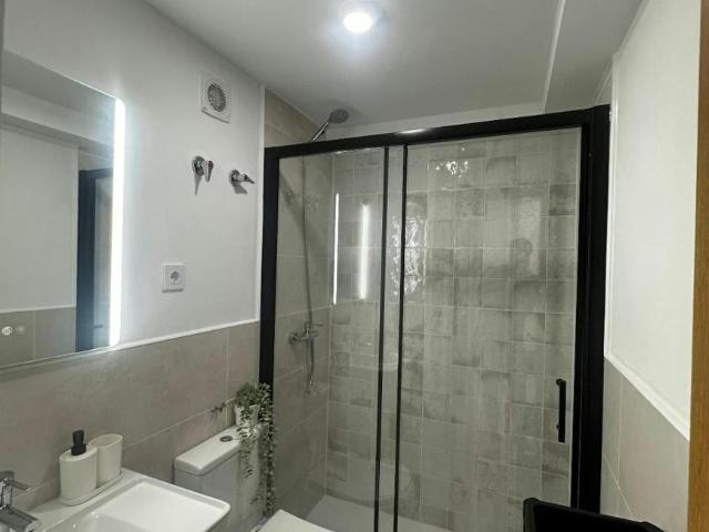 Alquiler 1 Dormitorio Shared Living/Roommate Alicante Alicante DS102849909