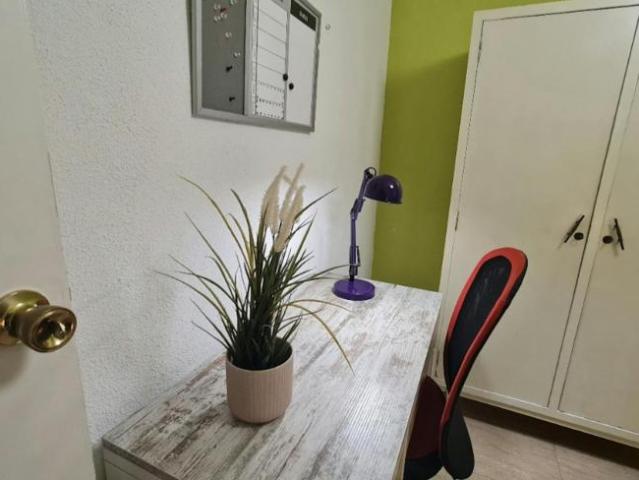 Alquiler 1 Dormitorio Shared Living/Roommate Alicante Alicante DS102856389