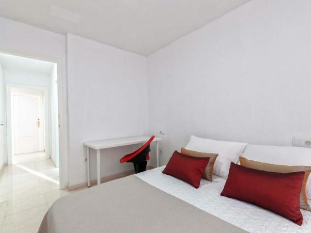Alquiler 1 Dormitorio Shared Living/Roommate Alicante Alicante DS102856547