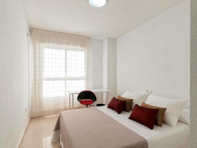 Alquiler 1 Dormitorio Shared Living/Roommate Alicante Alicante DS102856548