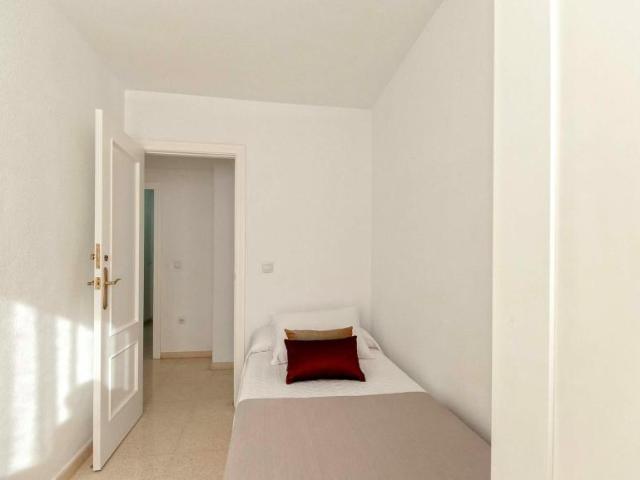 Alquiler 1 Dormitorio Shared Living/Roommate Alicante Alicante DS102856549