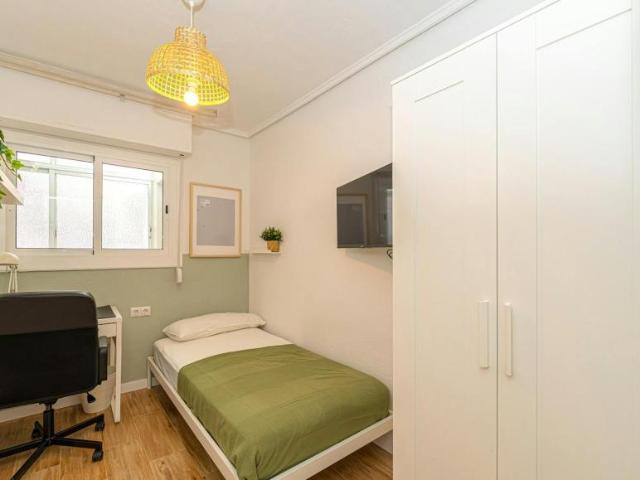 Alquiler 1 Dormitorio Shared Living/Roommate Alicante Alicante DS102850217