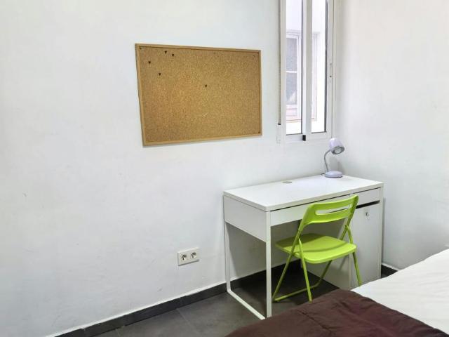 Alquiler 1 Dormitorio Shared Living/Roommate Alicante Alicante DS102850440