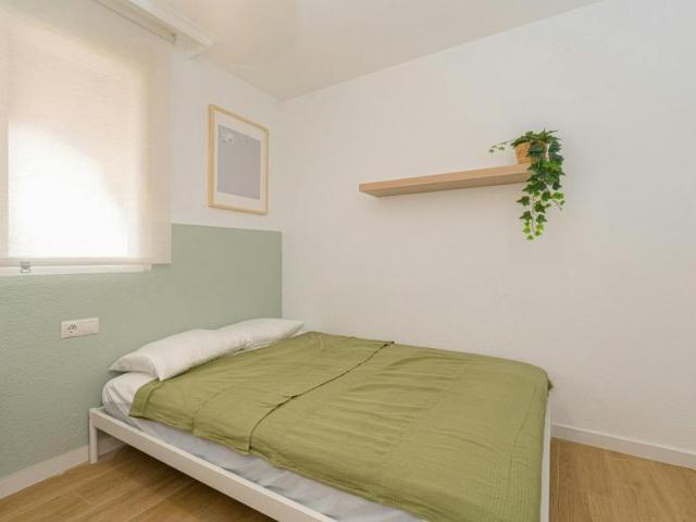 Alquiler 1 Dormitorio Shared Living/Roommate Alicante Alicante DS102850864