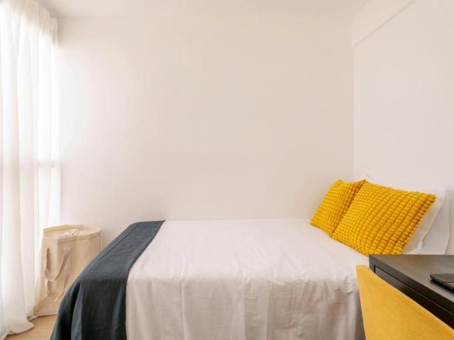 Alquiler 1 Dormitorio Shared Living/Roommate Alicante Alicante DS102850953