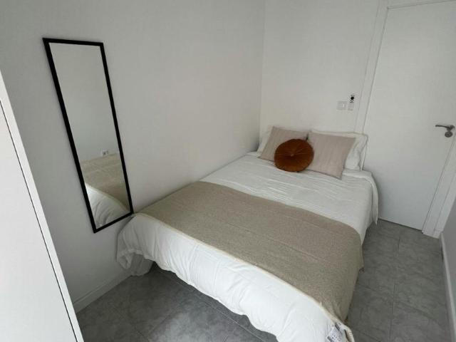 Alquiler 1 Dormitorio Shared Living/Roommate Alicante Alicante DS102850968