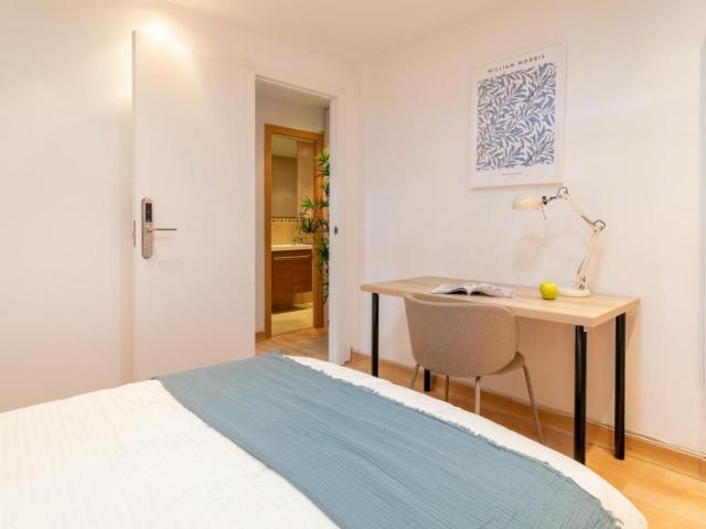 Alquiler 1 Dormitorio Shared Living/Roommate Alicante Alicante DS102851512