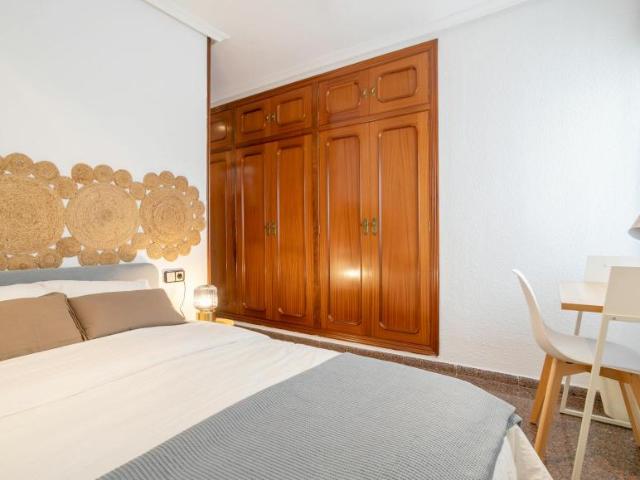 Alquiler 1 Dormitorio Shared Living/Roommate Alicante Alicante DS102851796