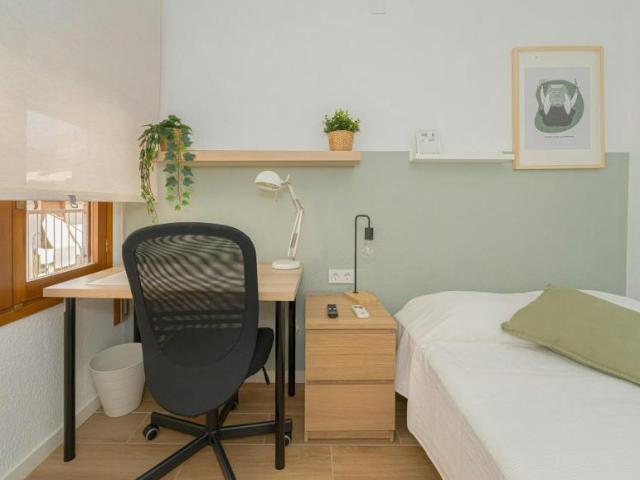 Alquiler 1 Dormitorio Shared Living/Roommate Alicante Alicante DS102852158