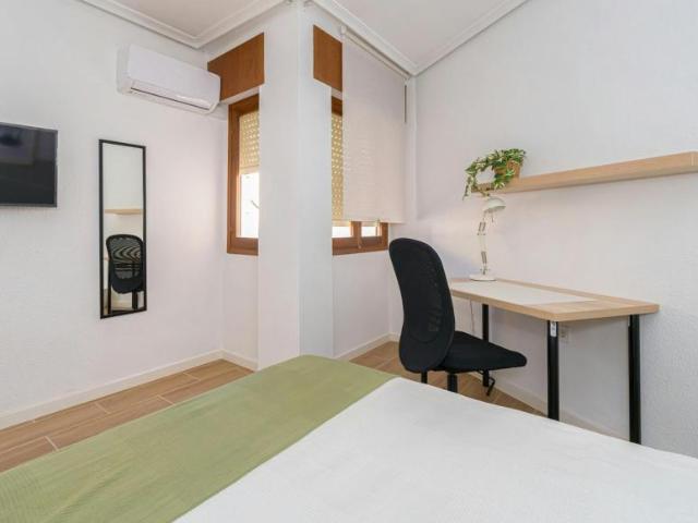 Alquiler 1 Dormitorio Shared Living/Roommate Alicante Alicante DS102852161