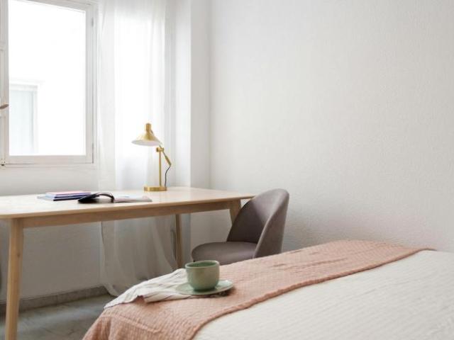 Alquiler 1 Dormitorio Shared Living/Roommate Alicante Alicante DS102852766
